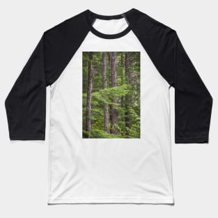 Evergreen Forest - Manning Provincial Park Baseball T-Shirt